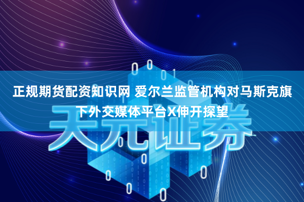 正规期货配资知识网 爱尔兰监管机构对马斯克旗下外交媒体平台X伸开探望