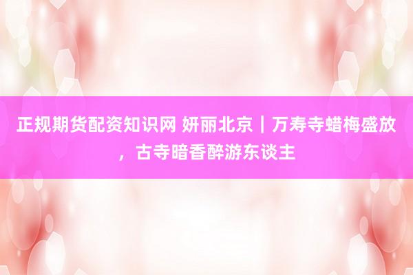 正规期货配资知识网 妍丽北京｜万寿寺蜡梅盛放，古寺暗香醉游东谈主