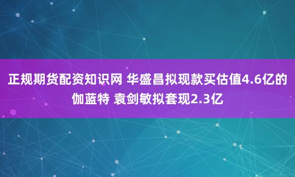 正规期货配资知识网 华盛昌拟现款买估值4.6亿的伽蓝特 袁剑敏拟套现2.3亿
