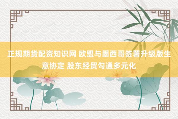 正规期货配资知识网 欧盟与墨西哥签署升级版生意协定 股东经贸勾通多元化